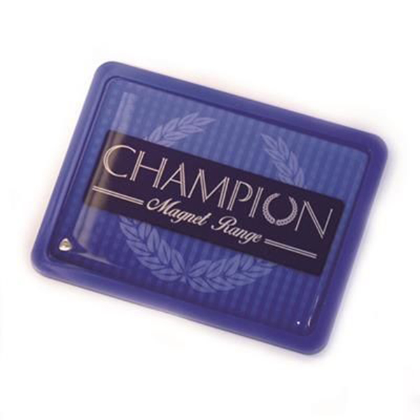 Picture of Champion Rectangle Magnet
