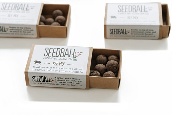 Picture of Seed ball match boxes