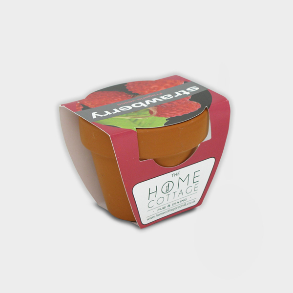 Picture of Tiny Terracotta Pot with seeds