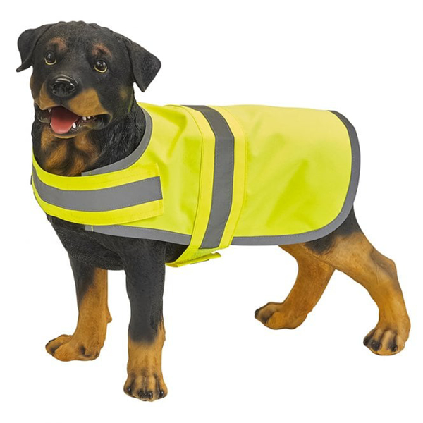 Picture of Dog Coat
