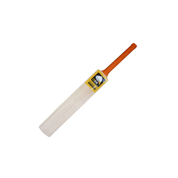 Picture of Full Size Cricket Bat