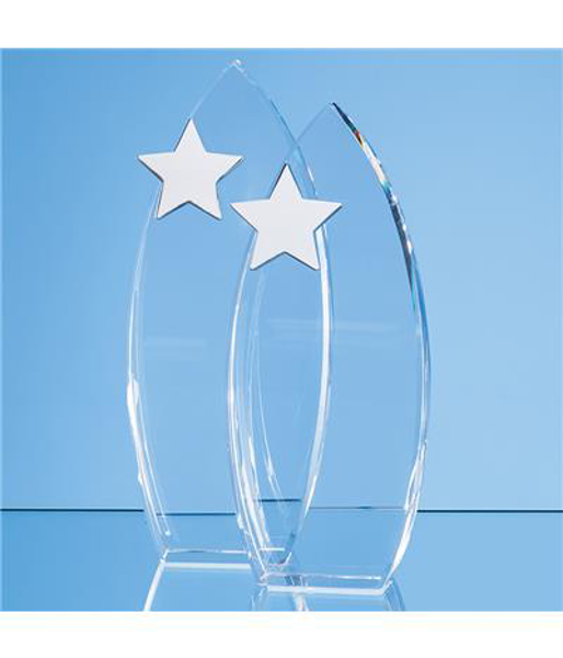 Picture of Arch Award with Silver Star