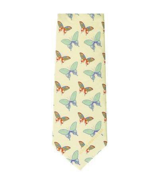 Picture of Corporate Tie