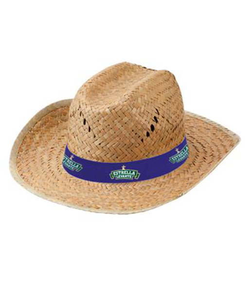 Picture of Cowboy Style Hat