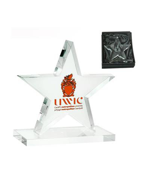 Picture of Crystal Star Award