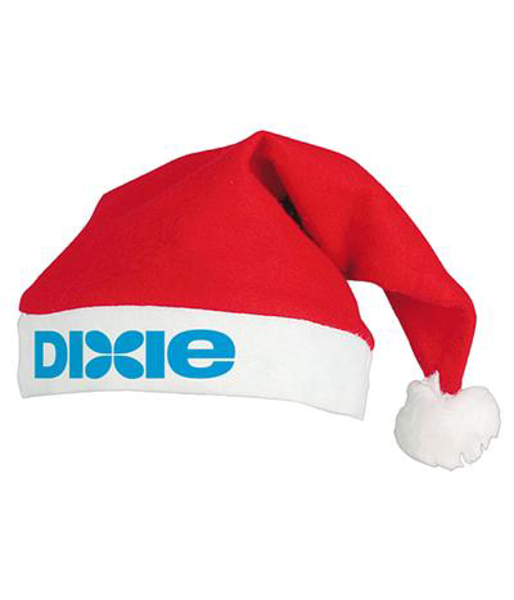 Picture of Father Christmas Santa Hat