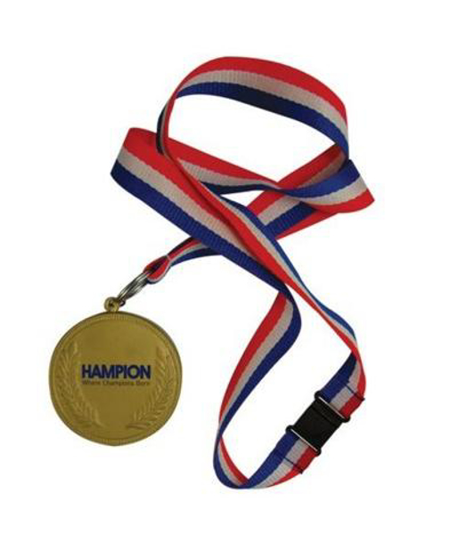 Picture of Gold Stress Medal