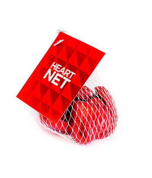 Picture of Heart Net
