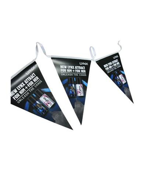 Picture of Triangular Paper Bunting 200x300mm