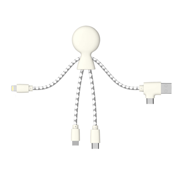 Picture of Mr Bio multi charging cable