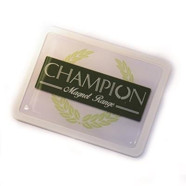 Picture of Champion Rectangle Magnet