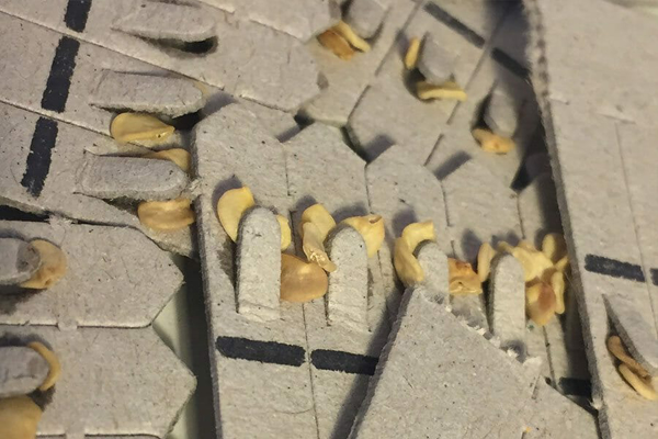 Picture of Eco Seedsticks™️