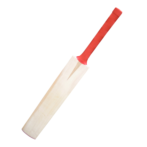 Picture of Full Size Cricket Bat