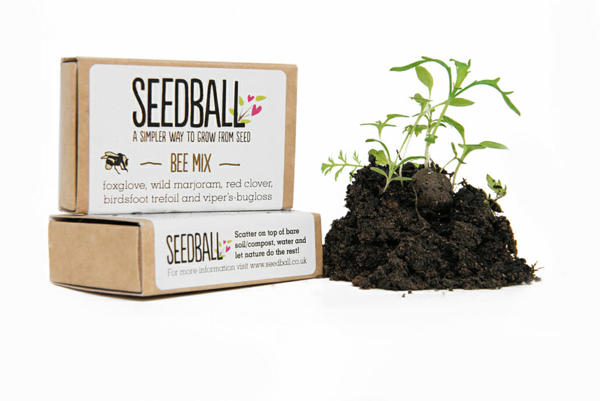 Picture of Seed ball match boxes
