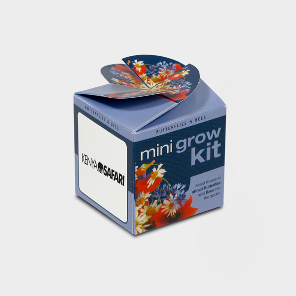 Picture of Tiny Terracotta Cube with seeds