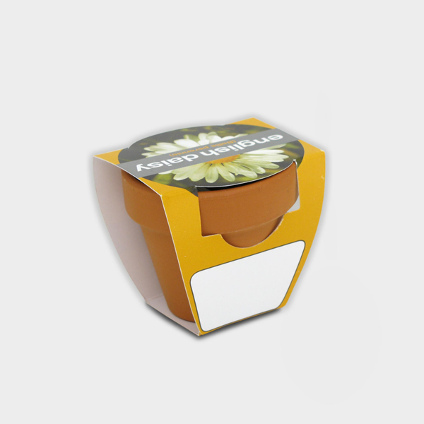 Picture of Tiny Terracotta Pot with seeds