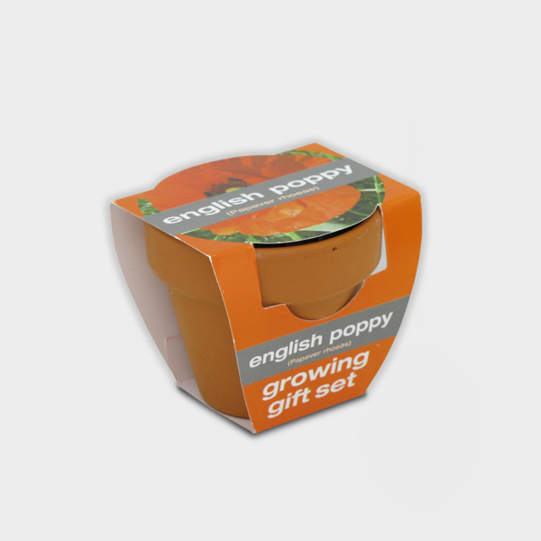 Picture of Tiny Terracotta Pot with seeds