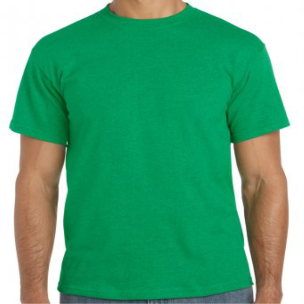 Picture of GILDAN HEAVY COTTON TSHIRT