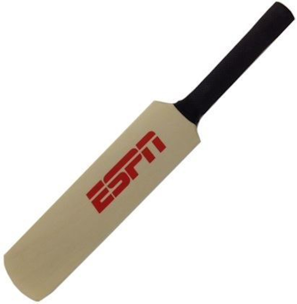 Picture of Mini Branded Cricket Bat