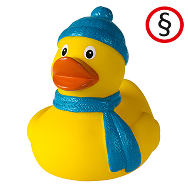 Picture of Winter Duck