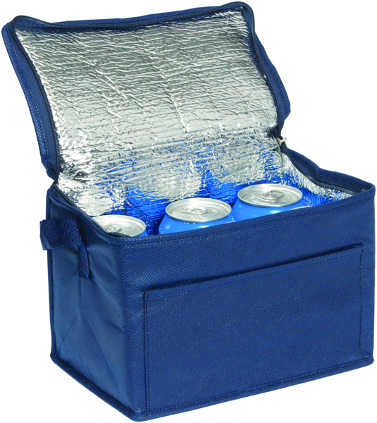 Picture of Rainham 6 Can Cool Bag