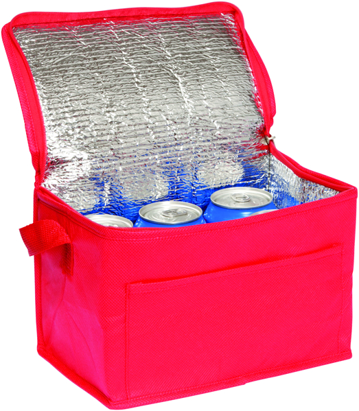 Picture of Rainham 6 Can Cool Bag