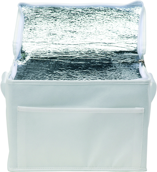 Picture of Rainham 6 Can Cool Bag