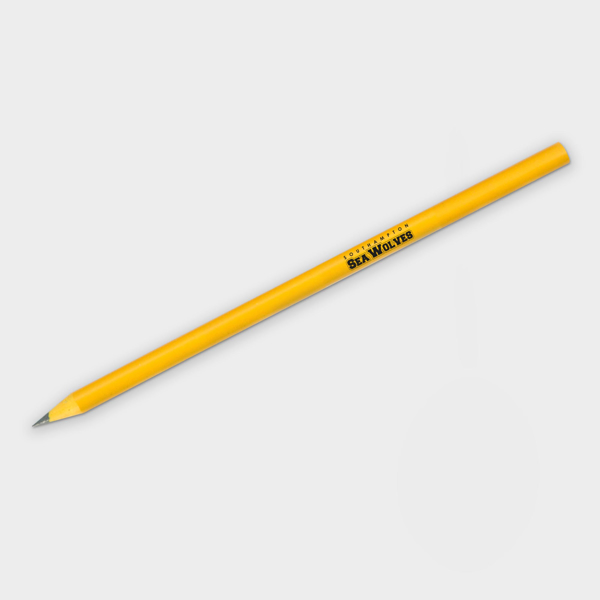 Picture of Recycled CD Pencil