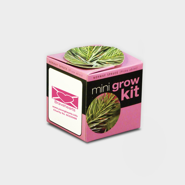 Picture of Tiny Terracotta Cube with seeds