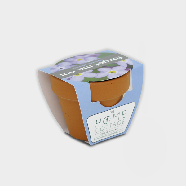 Picture of Tiny Terracotta Pot with seeds