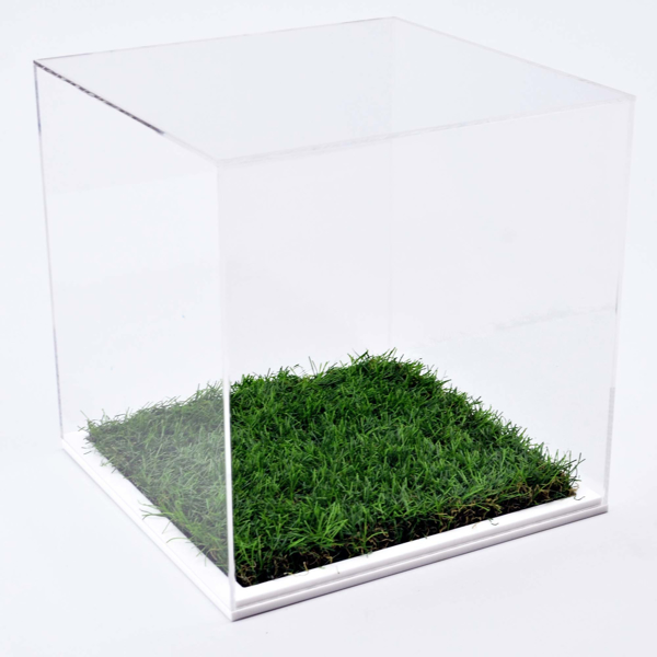 Picture of Acrylic Football Display Cases