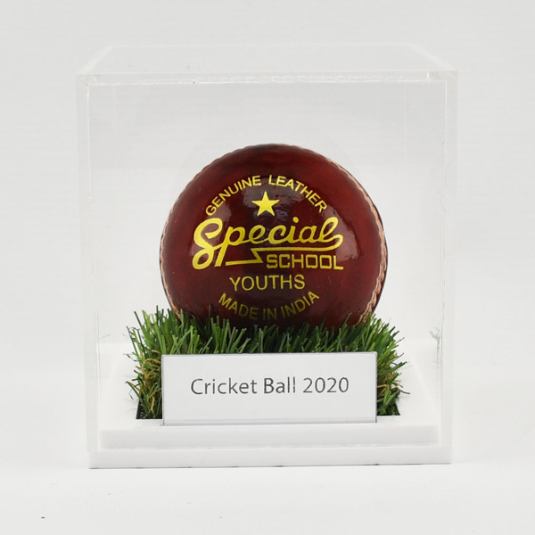Picture of Acrylic Cricket Ball Display Case