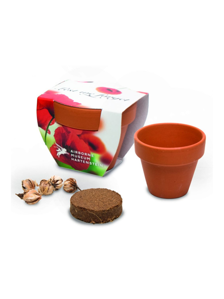 Picture of 5CM TERRACOTTA POT