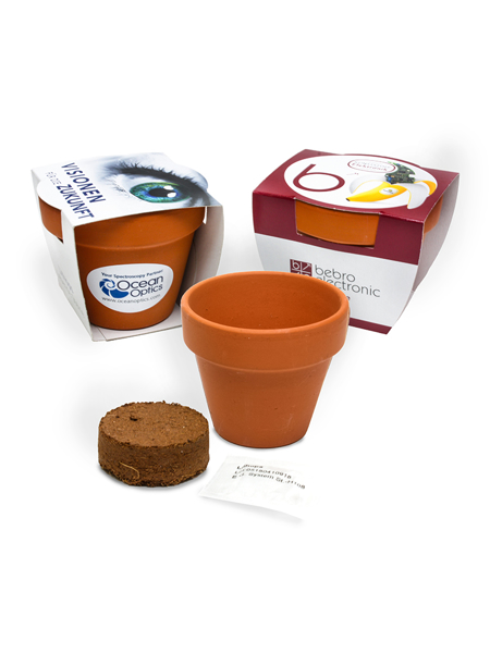 Picture of 7CM TERRACOTTA POT