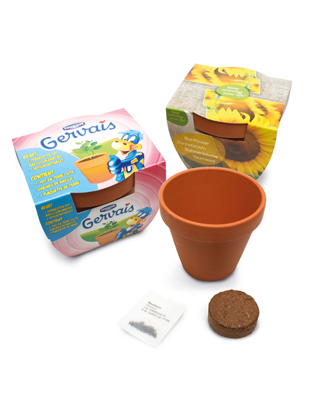 Picture of 10CM TERRACOTTA MAXI POT