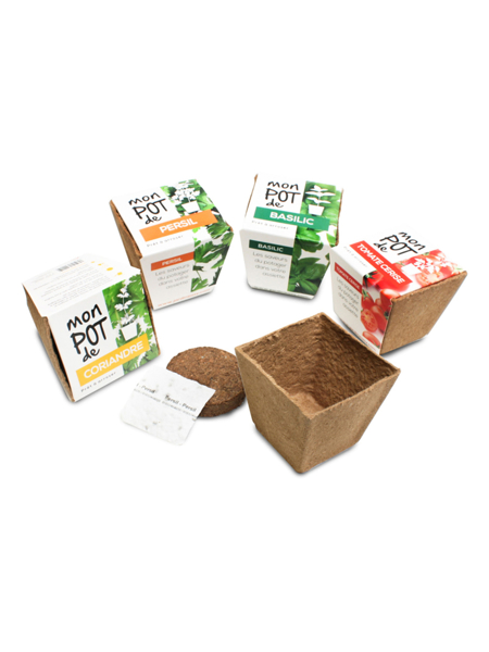 Picture of BIODEGRADABLE POT