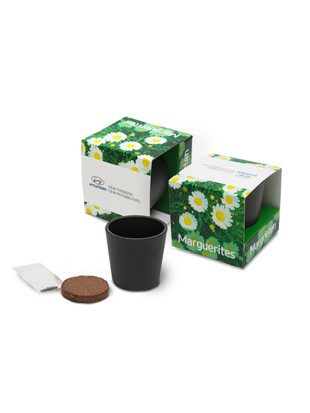 Picture of CERAMIC GROW KIT
