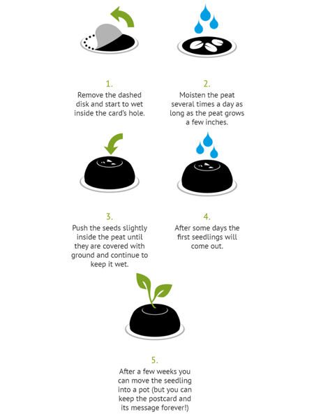 Picture of Seed Bag Postcard