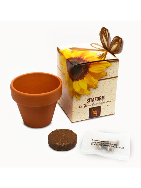 Picture of FLOWER SHOWBOX