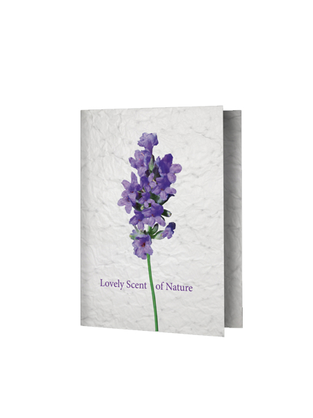 Picture of SEED PAPER GREETING CARD A6 SIZE