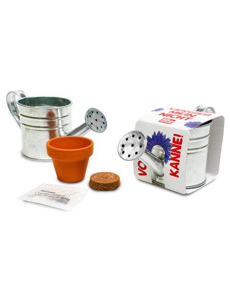 Picture of ZINC WATERING CAN