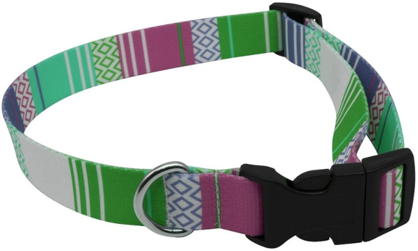 Picture of Recycled Dog Collar