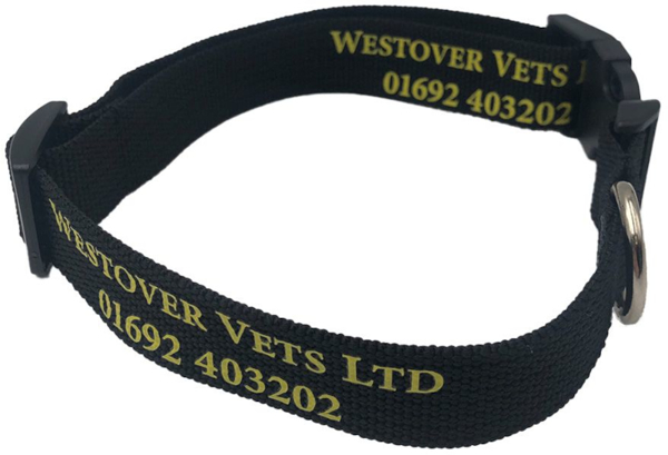 Picture of Recycled Dog Collar