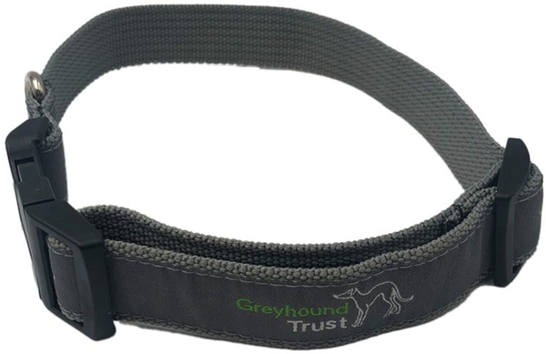 Picture of DOG COLLAR WITH WOVEN APPLIQUE
