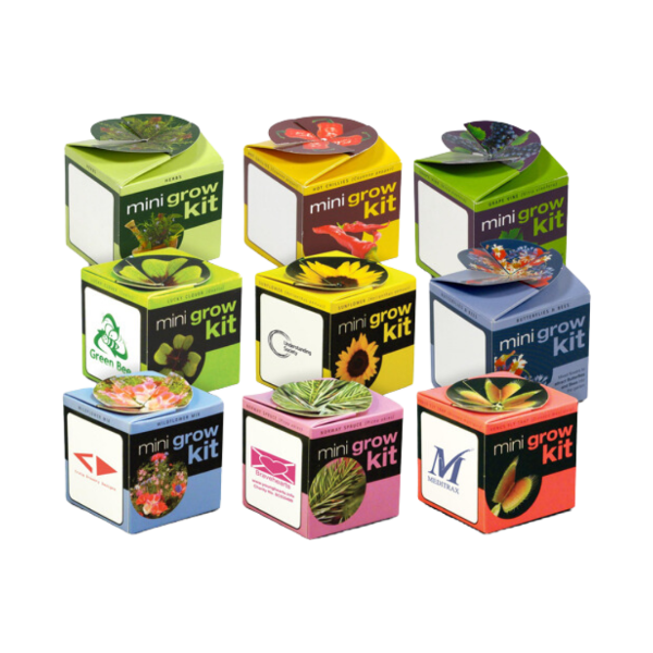 Picture of Tiny Terracotta Cube with seeds