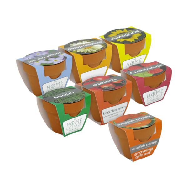 Picture of Tiny Terracotta Pot with seeds