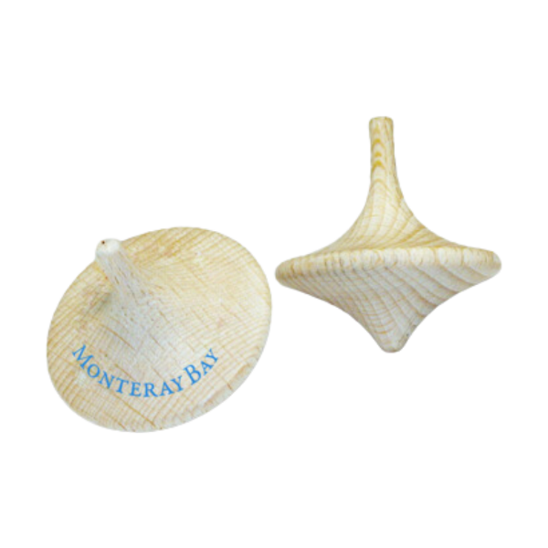 Picture of Sustainable wood spinning top