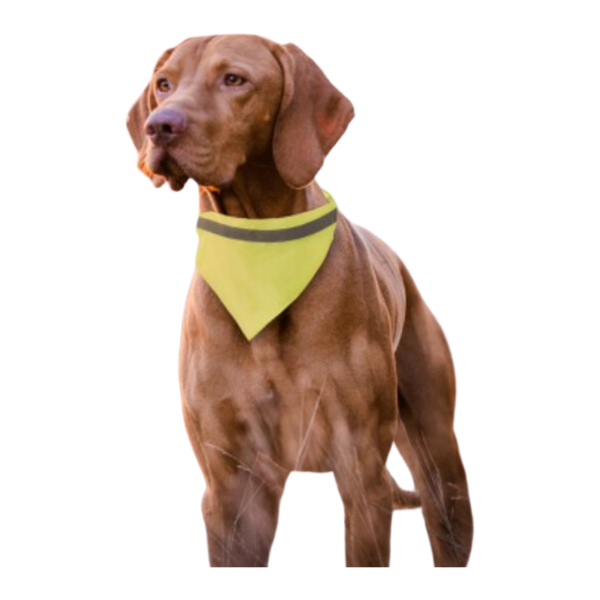 Picture of Reflective Dog Bandana