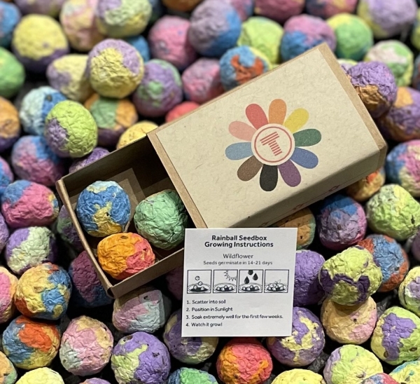 Picture of Rainballs Seedboxes