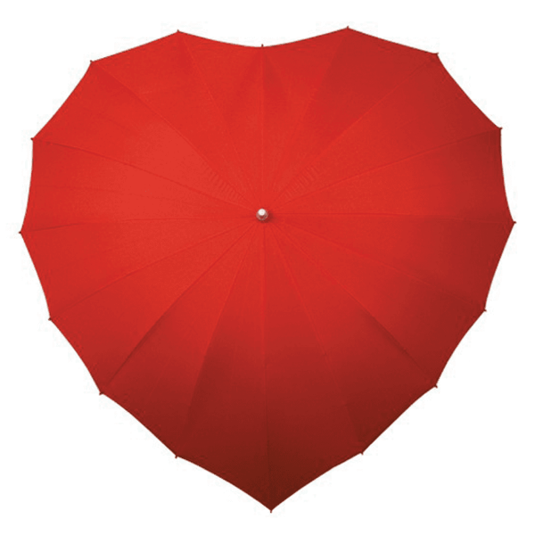 Picture of Heart Shaped Umbrella